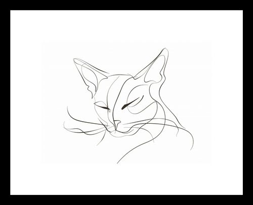 Plakat 18x13cm Linijny Kot na Arena.pl