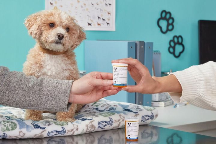 Drukarka etykiet Dymo LabelWriter 550 USB 2112722 zdjęcie 7