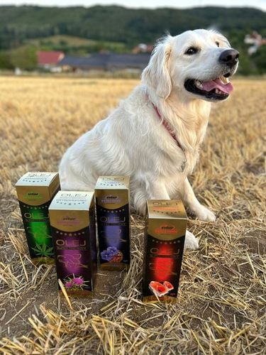 VITAR Veterinae Olej z Ostropestu 1000 ml - bogate źródło E witaminy+Omega na Arena.pl