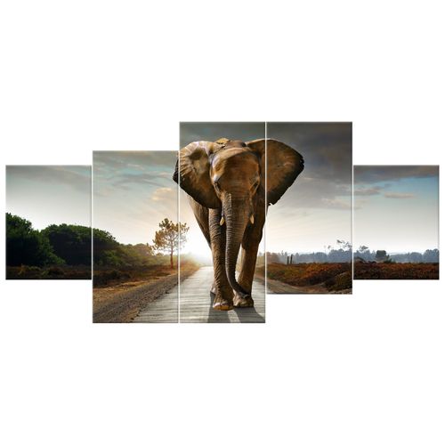 Gotowy Obraz 150X70 Słoń na Arena.pl