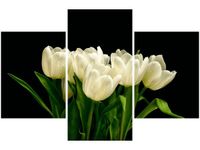 90X60CM OBRAZ BIAŁE TULIPANY MARK FREETH
