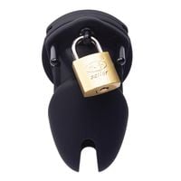 silicone penis cage