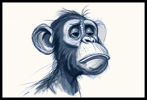 Plakat 60x40cm Zaduma na Arena.pl