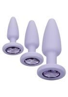 crystal booty kit purple