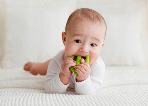 GiliGums DUMEL GRYZAK SZCZOTECZKA DO ZĘBÓW KAKTUS na Arena.pl