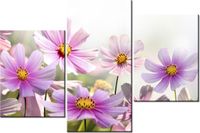 60 90CM OBRAZ 3 ELEM DELIKATNE KWIATY ŚCIENNY DRUK PŁÓTNO