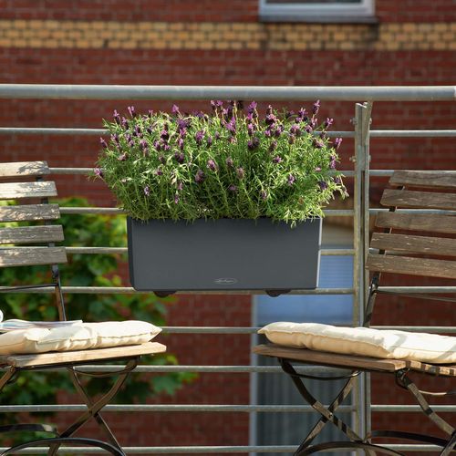 DONICA LECHUZA BALCONERA 50 BIAŁA na Arena.pl