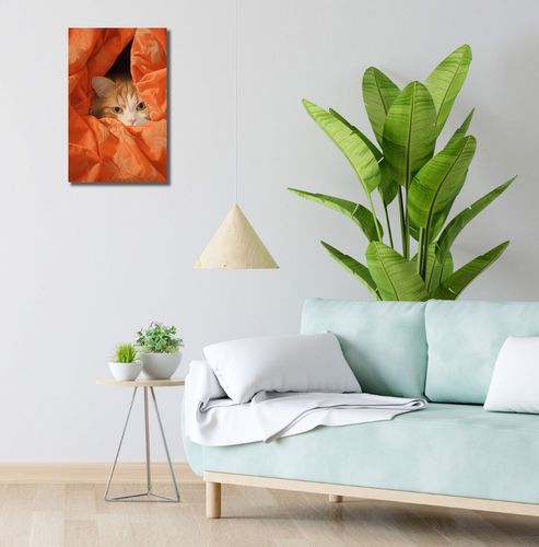 Obraz 30x50cm Ukryty Kot na Arena.pl