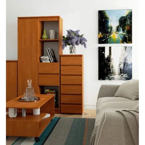 Wąska komoda do salonu, STILO, 40x35x109 cm, olcha, mat | TYLETEGOTU na Arena.pl