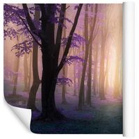 Fototapeta Magiczny Las Rośliny NATURA do Salonu 360x240