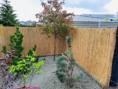 Mata trzcinowa 180 x 600 cm Maty trzcinowe 1.8 x 6 na Arena.pl