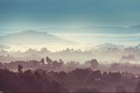 Fototapeta Las we Mgle KRAJOBRAZ do Sypialni 368cm x 254cm