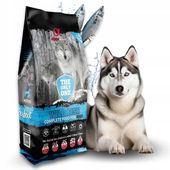 Alpha Spirit Wild Fish pełnoporcjowa sucha karma dla psa 12kg