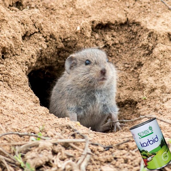 KARBID NA KRETY I NORNICE SUMIN GRANULOWANY ŚRODEK ODSTRASZA ZAPACHEM 1KG zdjęcie 5