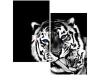 60X60CM TYGRYSY DWU OBRAZ ŚCIAN