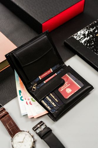 pionowy, średni portfel męski bez zapięcia zewnętrznego - peterson na Arena.pl