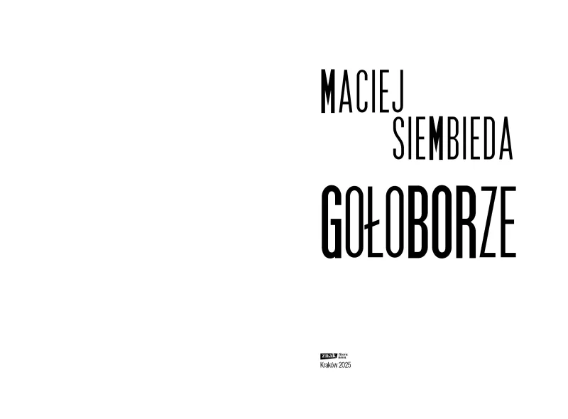 Gołoborze zdjęcie 3