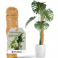 PALIK KOKOSOWY 120cm PODPORA DO ROŚLIN KWIATÓW MONSTERY GRUBA śr. 32mm