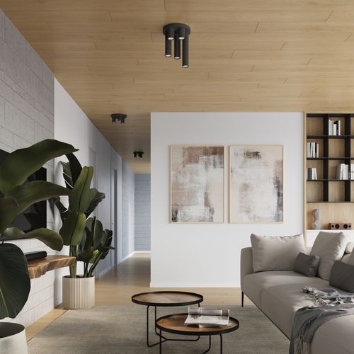 Plafon LAGOS 3P czarny na Arena.pl