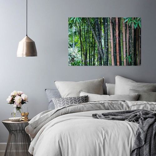 Obraz na płótnie - Canvas, Bambus 3 50x40 na Arena.pl