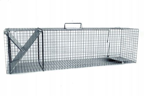 żywołapka pułapka lisy kuny wydry bobry koty skuteczna na Arena.pl