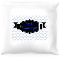 Poduszka - Zuch dziewczyna