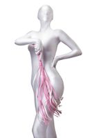 anonymo flogger, pu leather, pink, 64 cm