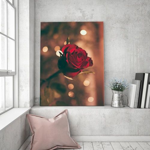Deco Panel, Czerwony kwiat róży 40x60 na Arena.pl