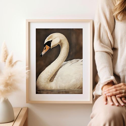 Plakat biały łabędź obraz 40x50 cm na Arena.pl