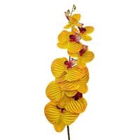 Storczyk pojedynczy gumowany żółty- brązowy prążek