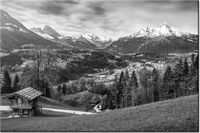 product-compare-58694300