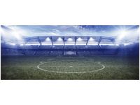 100X40CM BOISKO OBRAZ DREWNO