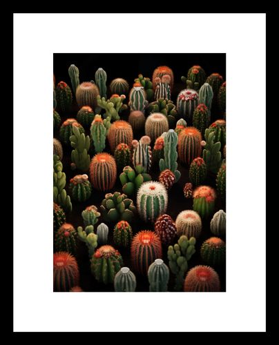 Plakat 13x18cm Ogród Kaktusów na Arena.pl