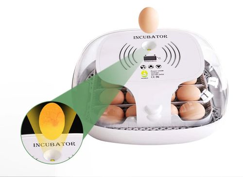 INKUBATOR DO JAJEK AUTOMATYCZNY KLUJNIK WYLĘGARKA WYLĘGARNIA DO 16 JAJ na Arena.pl
