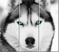 product-compare-58702862