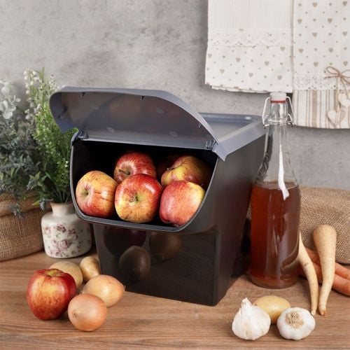 pojemnik na warzywa cebulę ziemniaki 13l 730510-a na Arena.pl