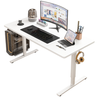 Biurko Elektryczne Podnoszone 140 cm Regulacja Wysokości Gamingowe Białe