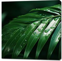 product-compare-59468078