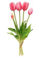 TULIPAN sztuczny TULIPANY SILIKONOWE BUKIET 5 sztuk RÓŻOWE