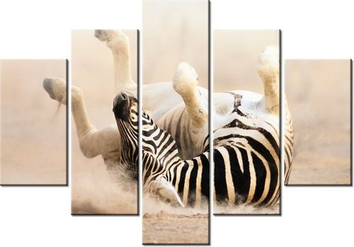 105CM 150CM OBRAZ 5 ELEM ZEBRA DRUK na Arena.pl