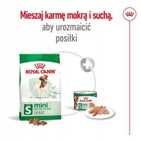 Royal Canin Adult Mini Sucha Karma Dla Psów Małych Ras 4kg