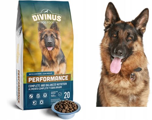 DIVINUS PERFORMANCE 20KG KARMA DLA PSA RASY DUŻE na Arena.pl