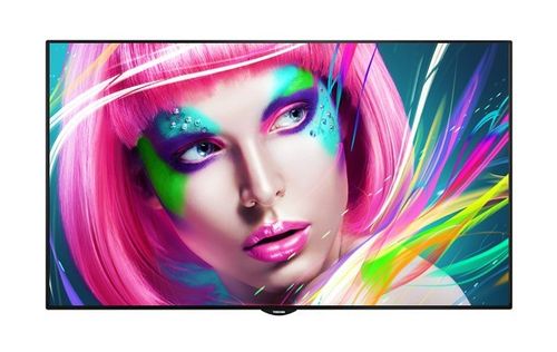 Toshiba 49"  TD-E493 na Arena.pl