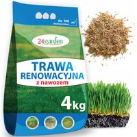 NASIONA TRAWA RENOWACYJNA REGENERACYJNA ODBUDOWA TRAWNIKA SAMOZAGĘSZCZA 4kg