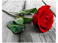 product-compare-58649152