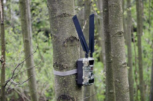 Kamera Leśna FOTOPUŁAPKA Myśliwska FHD GSM 4G LTE MMS wysyła FILMY na Arena.pl