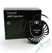 Kessil A80 Tuna Sun