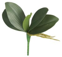 product-compare-55756508