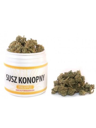 Susz konopny 4,3% CBD 10g Pineapple na Arena.pl