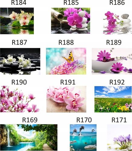 FOTOTAPETA rosliny KWIATY róże DUŻY WYBÓR WZORÓW na Arena.pl